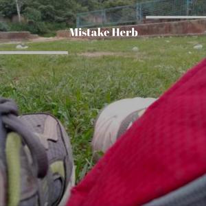Mistake Herb