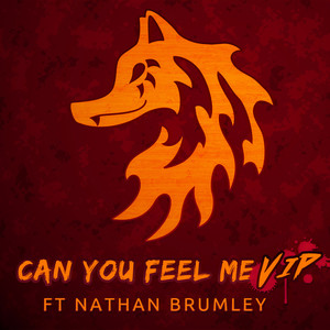 Can You Feel Me (VIP)