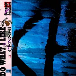 Do what I Like (Explicit)