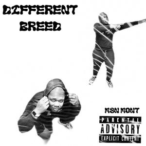 Different Breed (Explicit)