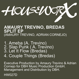 Ameba (Original Mix)