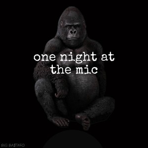 One Night at the Mic (Explicit)