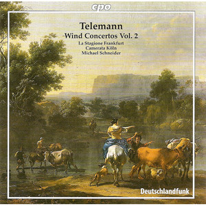 Concerto for 2 Oboes and Bassoon in D Minor, TWV 53:d1 - I. Grave