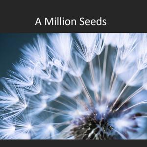 A Million Seeds