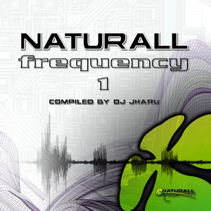 Naturall Frequency 1