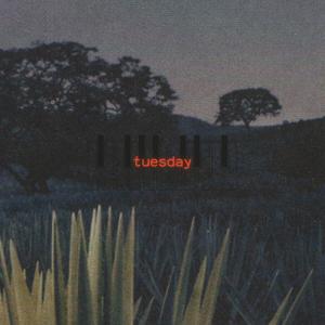 tuesday