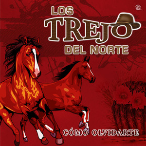 Cómo Olvidarte