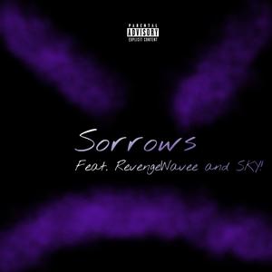 Sorrows (feat. SKY! & RevengeWavee) (Explicit)