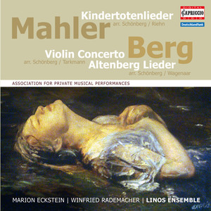 Violin Concerto (arr. A. Schoenberg and A. Tarkmann for violin and chamber ensemble) - II. Allegro
