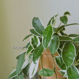 for you