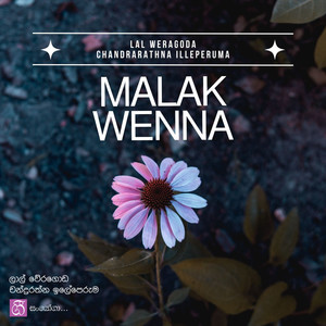 Malak Wenna