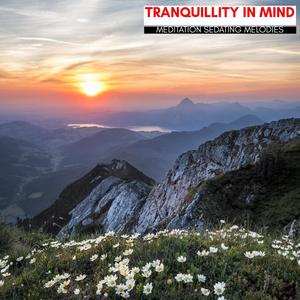 Tranquillity In Mind - Meditation Sedating Melodies