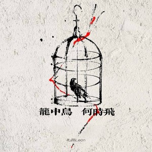 笼中鸟 何时飞