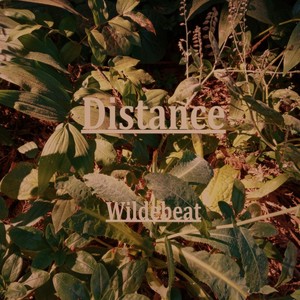 Distance