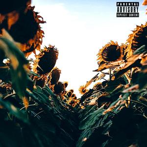 MELANCHOLIC SUMMER (feat. SHADE08) (Explicit)