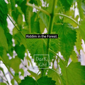 Riddim in the Forest