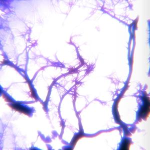 Don't Know(feat. Moistbreezy)