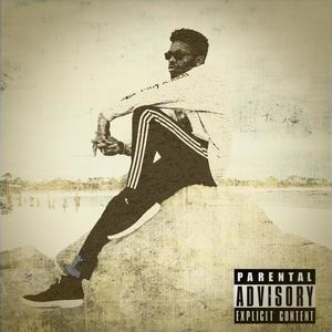 The Plan (Explicit)