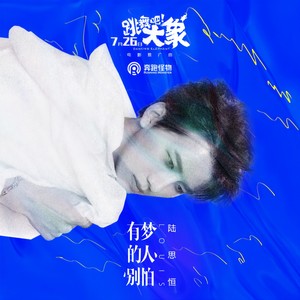 有梦的人别怕封面