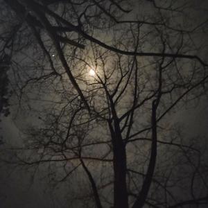 Keep me close (Explicit)