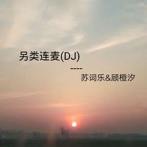 另类连麦（DJ)