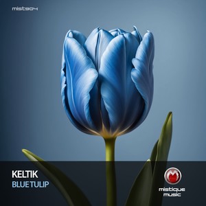 Blue Tulip (Original Mix)