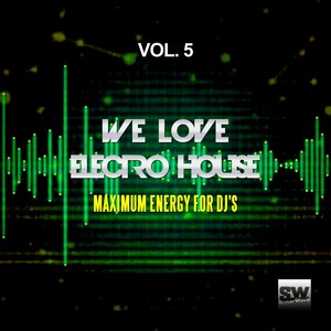 Electro Echo (Joe Maleda Remix)