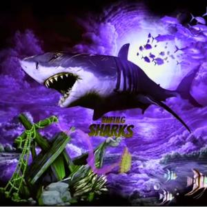 Sharks (Explicit)