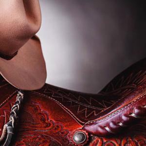 In The Saddle