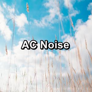 AC Noise