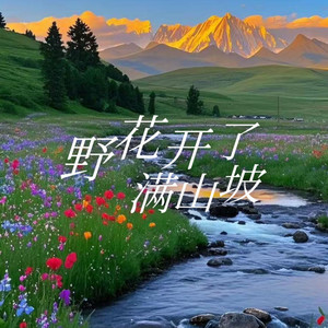 野花开了满山坡