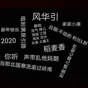 风华引