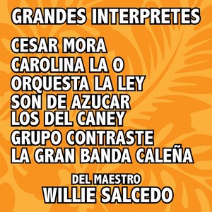 GRANDES INTERPRETES DEL MAESTRO WILLIE SALCEDO (ÉXITOS)