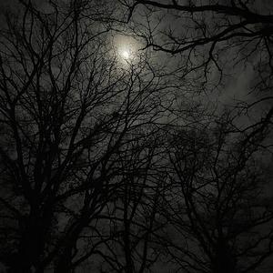 Wir gegen die Welt (feat. Eraycessur) (Explicit)