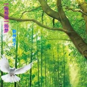 一场相思一场梦