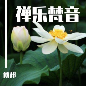 观音散花-权琳丽