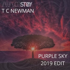 Purple Sky 2019 Edit