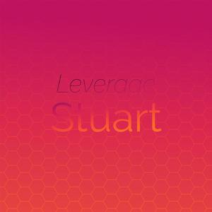 Leverage Stuart