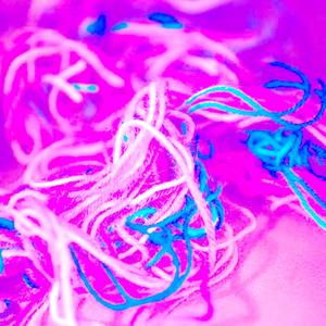 STEADY (tryna unwind) (Explicit)