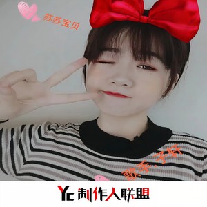 苏苏宝贝 (DJ版)