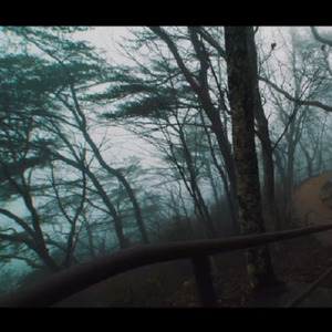 我想在你的脉搏中跳舞-君の脈で踊りたかった