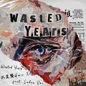 Wasted Years