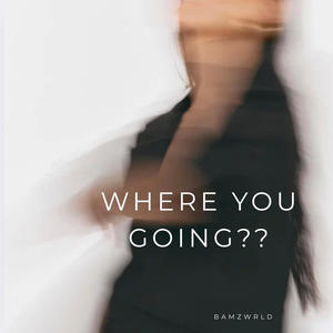 Where you going?? (Explicit)
