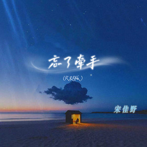 忘了牵手 (R&B版) - 宋佳野封面