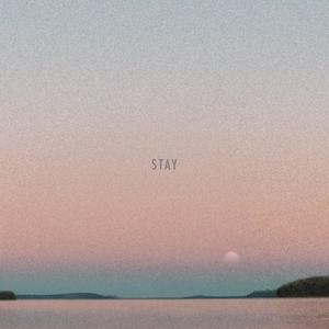 stay