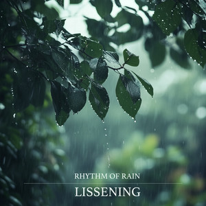 Rhythm Of Rain