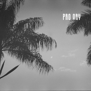 Pro Ary