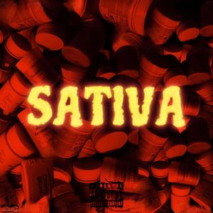 SATIVA (Explicit)