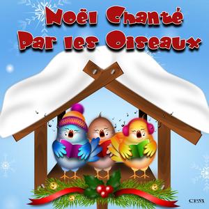 Noël chanté par les oiseaux