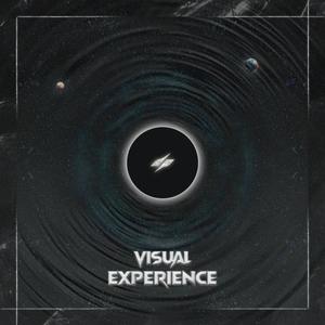 Visual Experience